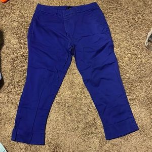 They are more purple dress pants ( fake back pockets good size front)